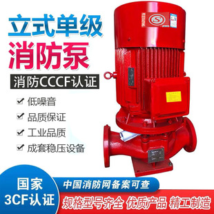 单级消火栓泵30KW室内消火栓泵55KW消防增压加压泵 定制喷淋泵立式