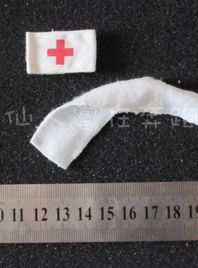 1 6兵人 DID50001 抗震救灾 PLA 医疗兵 袖标+毛巾 现货