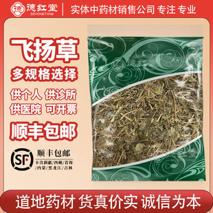 德红堂 大飞扬草500克g中药材中草药无硫大乳汁草节节花飞扬草