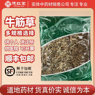 德红堂牛筋草蟋蟀草牛津草中草药路边千金草蟋蟀草