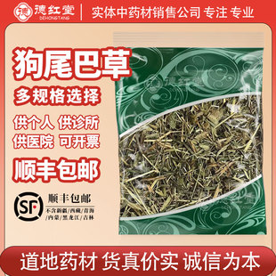 德红堂狗尾巴草中药材九尾光明草中草药狗尾草