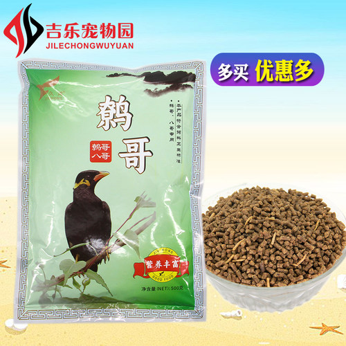 久鸿八哥鹩哥食换羽鸣叫宏亮