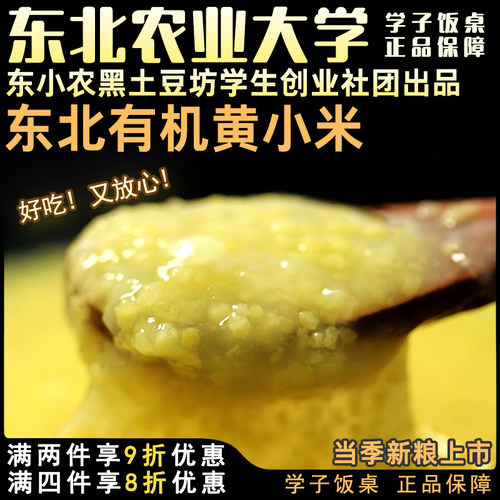 香糯粘稠有机黄小米学子饭桌