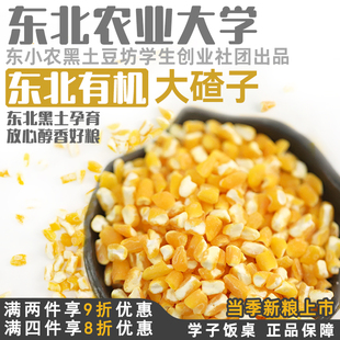 学子饭桌东北有机大碴子农家自产玉米碴子大粒玉米糁粗2025年新货
