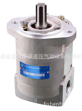 合肥长源液压齿轮油泵CBKP CBHQ-G22/26/27.2/30.6/32/36/40ALHR