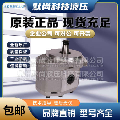 合肥皖液齿轮泵CBG-2032/2040/2050/2063/2080/2100/2110-BF 油泵