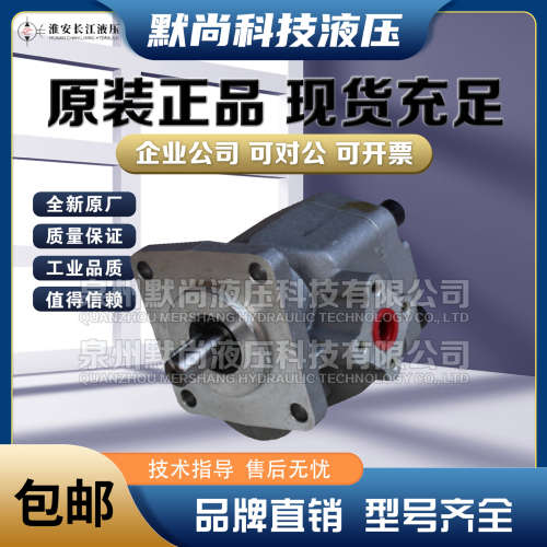 淮安长江齿轮泵PR1 / PR2-020/030/040/060/075/090/105 液压油泵