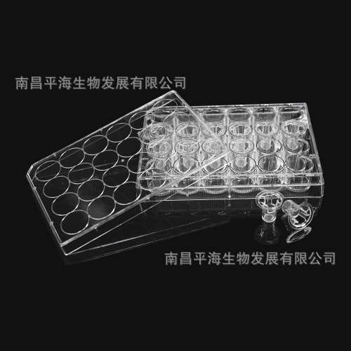 14341 细胞培养小室含24孔板(PC膜6.5mm孔径8.0μm)