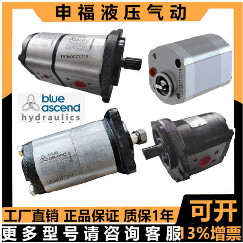 土耳其BLUE ASCEND齿轮泵AP20.160.CGL01SN AP20.115.CGL01SN油泵
