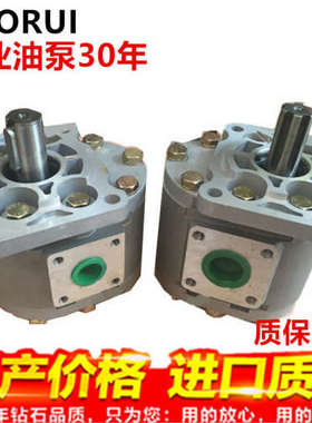 SUORUI齿轮泵CBT-G520/525/532/540/550/563/580液压油泵齿轮泵sr