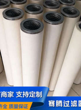 厂家供应生产PPFG天然气滤芯 FG-336 玻璃纤维天然气管道滤芯