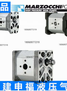 意大利马祖奇齿轮泵马达MARZOCCHI ALP2BK1-D- 6 9 10 12 22 25