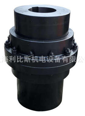 原装进口供应 RU-STEEL ULISSE 联轴器  优惠