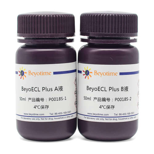 BeyoECL Plus (超敏ECL化学发光试剂盒)100ml 500ml