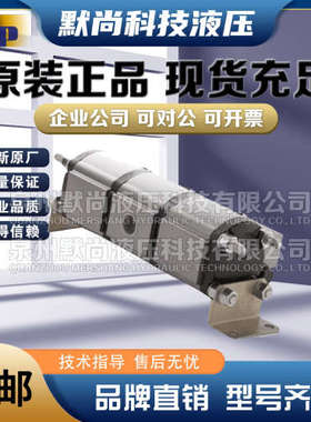 韩国ASEDA同步分流马达DASP20-4/6/8/11/14/16/20/25/31 高压马达