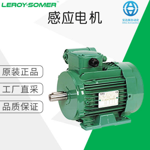 工厂直采 德国 LEROY SOMER 感应电机 多型号可询 LS P系列