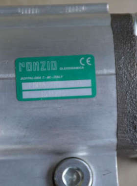 意大利RONZIO罗茨 02ZMAG31C043R（排量31）全系齿轮泵 液压马达