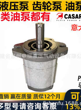 意大利凯斯帕CASAPPA齿轮泵液压马达油泵PLM20 PLM30 PLM25 PLm10