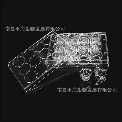 14212 细胞培养小室含12孔板(PET膜12mm孔径0.4μm)