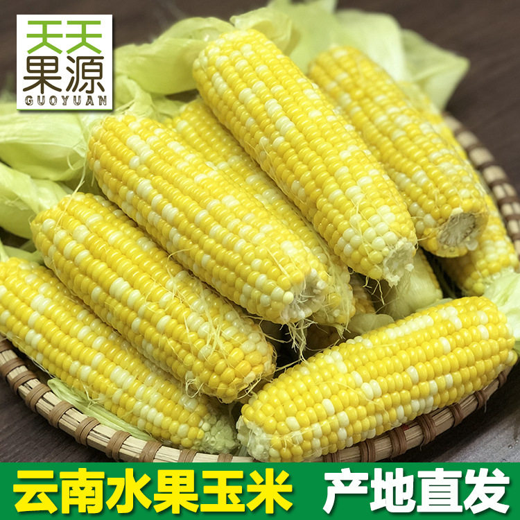 产地货源云南水果玉米8斤装甘甜多汁可生吃甜玉米棒 新鲜水果,水产肉类/新鲜蔬果/熟食,新鲜玉米,淘宝优惠券,粉丝福利购,淘宝优惠卷