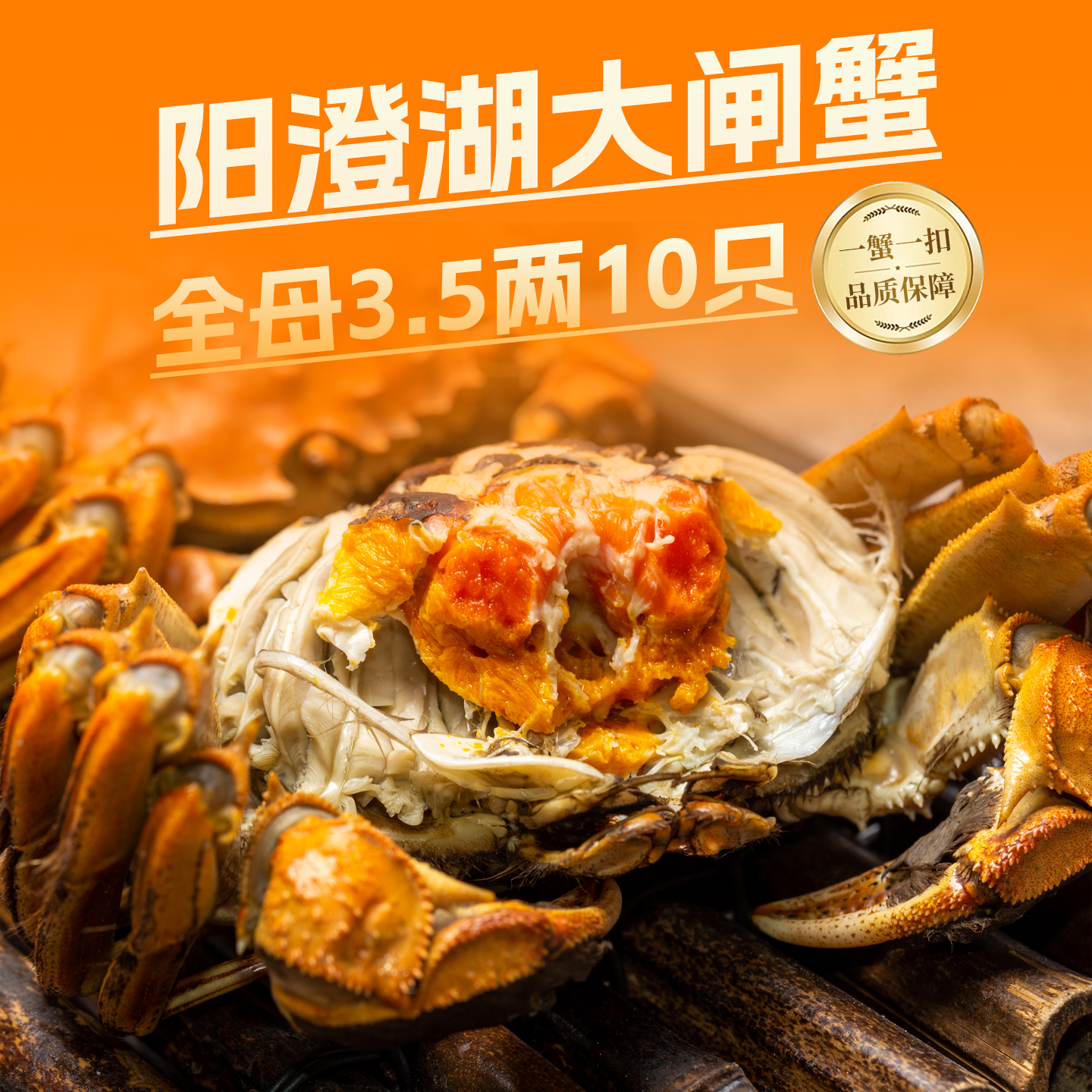 特大全母阳澄湖大闸蟹4.0两10只