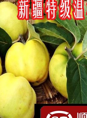 新疆特色温桲之皇木瓜5斤包邮