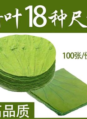 干荷叶整张圆形方形包糯米鸡饭的专用商用茶蒸垫新鲜莲藕叶