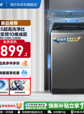 国家补贴|海尔波轮洗衣机大容量10kg家用全自动除螨变频2GD0
