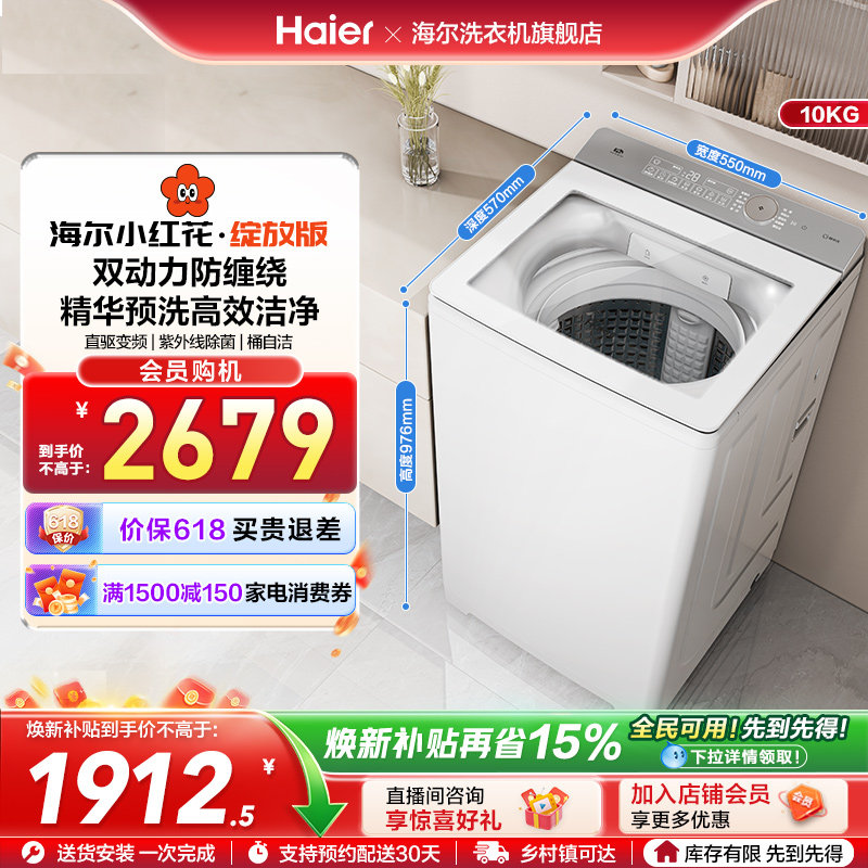 海尔小红花波轮双动力精华洗10kg大容量家用全自动洗衣机73M