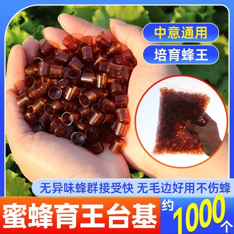 中蜂意蜂育王杯育王台养蜂工具王台基人工育王台棕色蜂王杯塑料