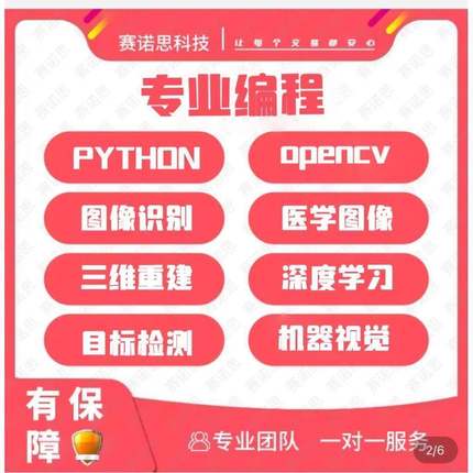 Python代做医学图像分割处理深度学习语义分割目标检测分类影像学