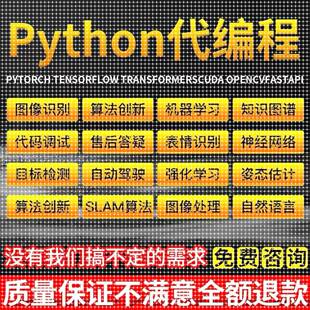 python代码编写深度学习医学图像识别语义分割机器学习强化学习