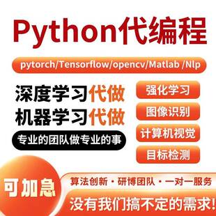 python代码编写深度学习医学图像识别语义分割机器学习强化学习