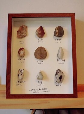 手工diy相框立体中空标本框贝壳石头植物干花收藏保存展示画框架