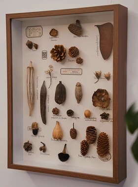 diy手工相框立体中空标本框贝壳石头植物干花收藏保存展示画框架