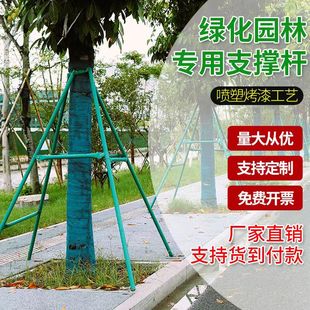 镀锌钢管树木支撑架工程专用苗木园林绿化防风大树支撑杆树撑大杆