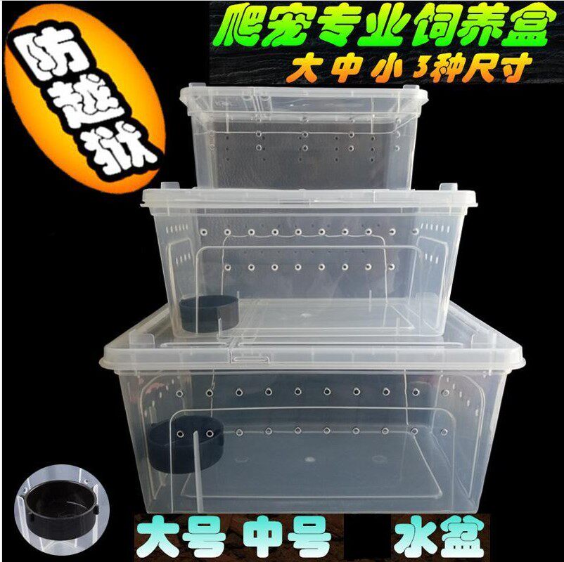 塑料透明爬虫饲养盒防逃爬宠饲养箱蜘蛛角蛙守宫盒宠物蛇蝎子昆虫