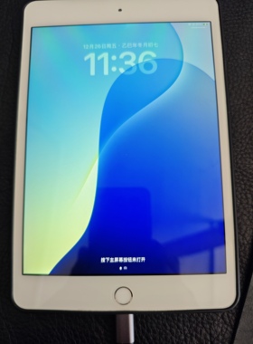 二手成色一般正品Apple/苹果iPad mini 5款64G WIFI版平板电脑