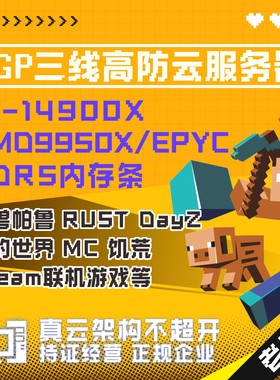 BGP多线I9-14900K/9950X Minecraft MC我的世界游戏 云服务器 vps