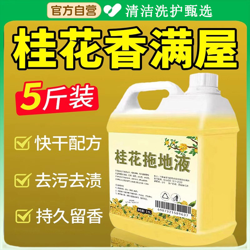 拖地清洁液持久留香液地板家用清洁剂清香消毒留香去水渍