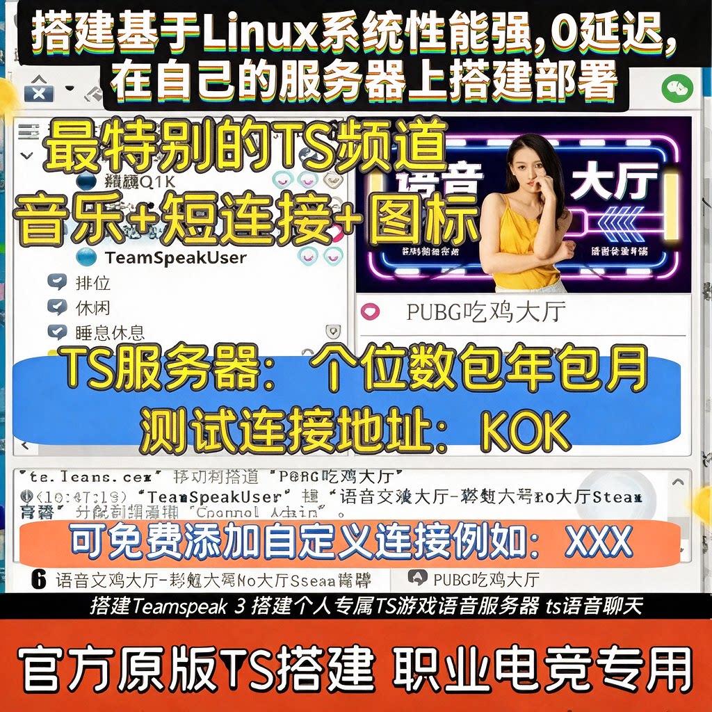 ts语音频道连接账号地址 teamspeak3搭建  ts 团队专属服务器图片