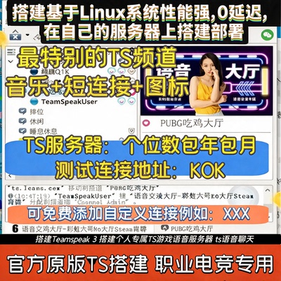 ts语音频道连接账号地址 teamspeak3搭建  ts 团队专属服务器