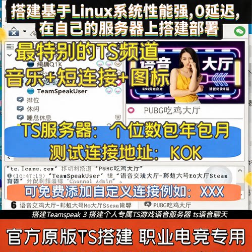 ts语音频道连接账号地址 teamspeak3搭建  ts 团队专属服务器