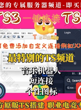 teamspeak3服务器搭建 ts高品质频道连接服务器 ts语音聊天频道