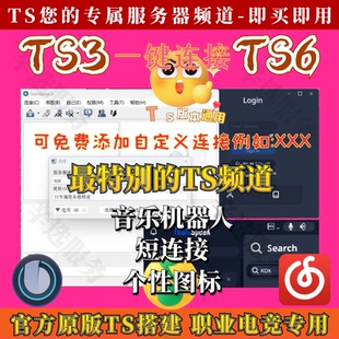 teamspeak3服务器搭建 ts高品质频道连接服务器 ts语音聊天频道