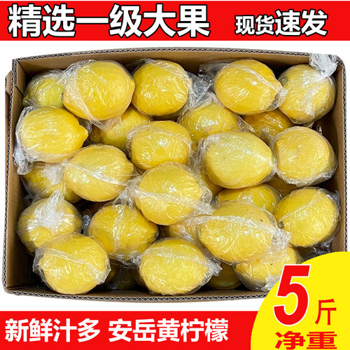 精选5斤9斤一级果柠檬新鲜汁多