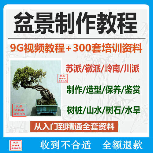 徽苏派全套教学教程盆景造型工艺制作岭南技术影片山水果树桩
