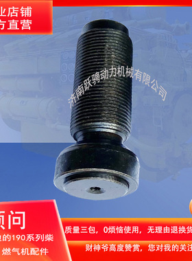 190系列燃气发电机组横桥调节螺钉分部件12VB.03.60D/12VB.03.90B