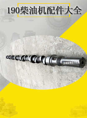 适配济南Z12V190B柴油机G12V190PZL1凸轮轴12VB.06.30