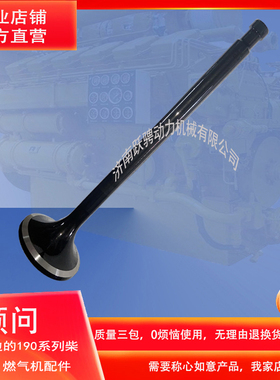 12V190气机配胜动600kw燃气发电机组进气门W12V190.03.01进气阀门